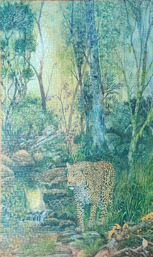 A leopard walking through a sun-dappled, lush green forest near a small stream.