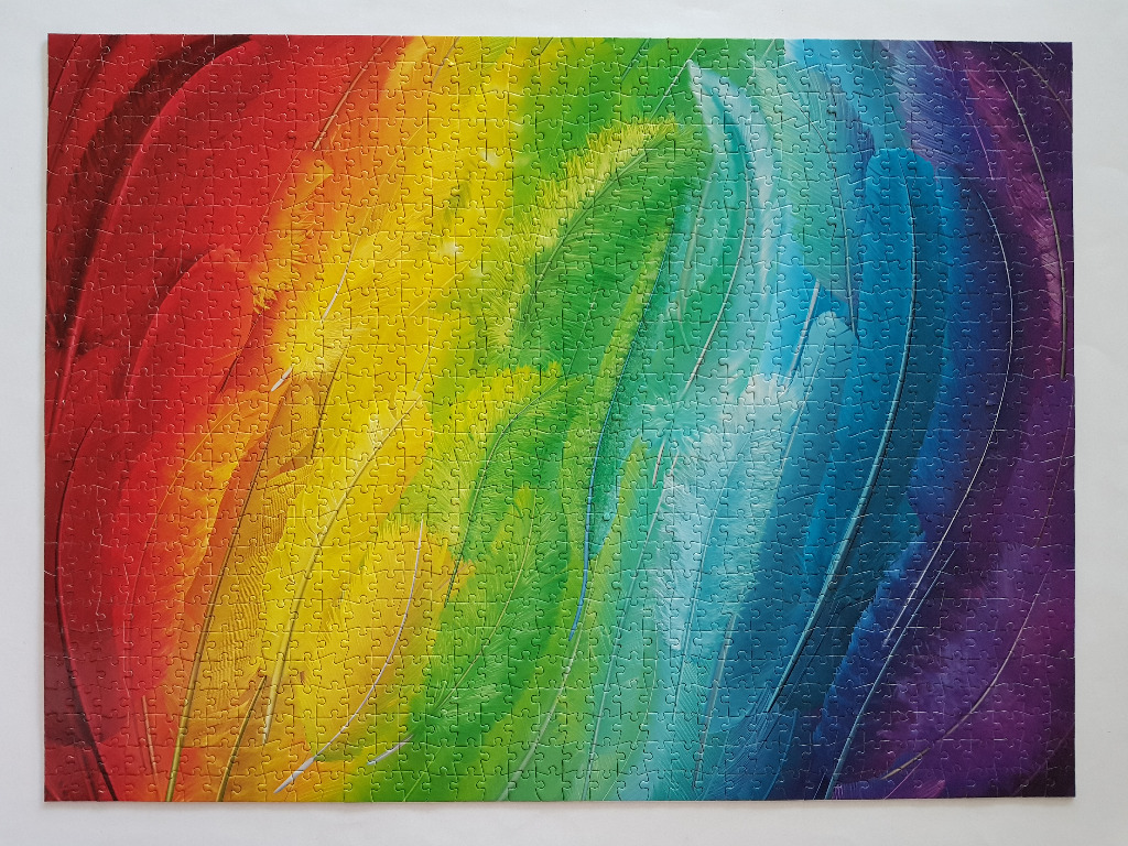 Abstract painting of overlapping feathers in a rainbow gradient of red, yellow, green, blue, and purple.