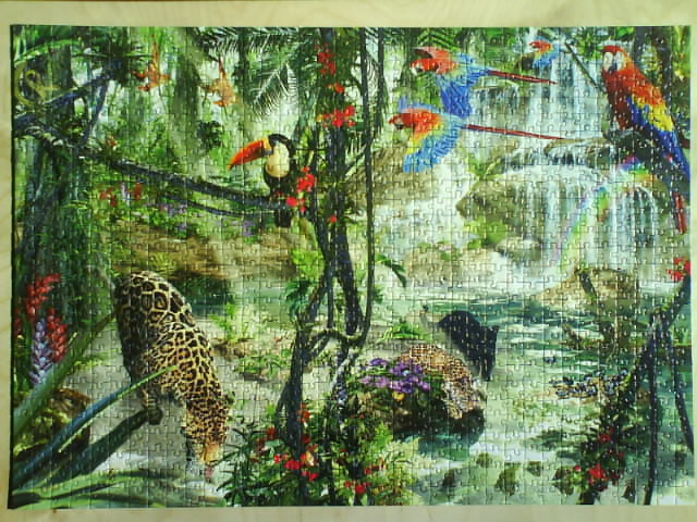 A lush rainforest scene featuring a leopard, a toucan, and several colourful macaws near a waterfall.