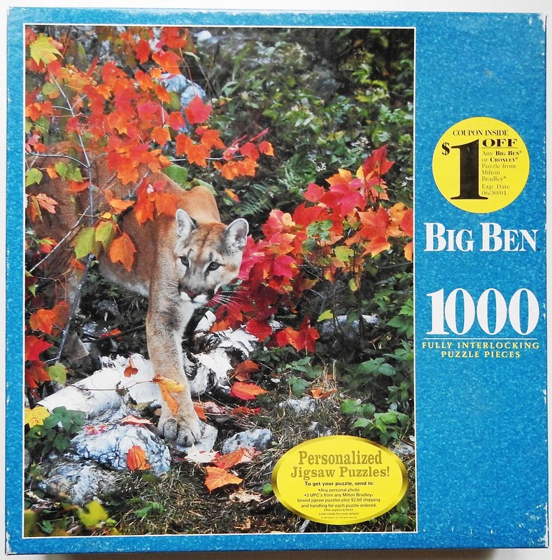A mountain lion walking through a forest with vibrant autumn foliage.