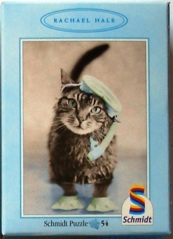 A photograph of a tabby cat wearing a swim mask, snorkel, and flippers against a neutral background.