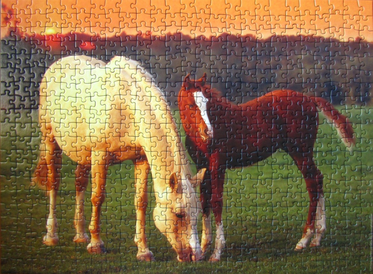 A cream-colored horse and a brown foal grazing in a pasture at sunset.