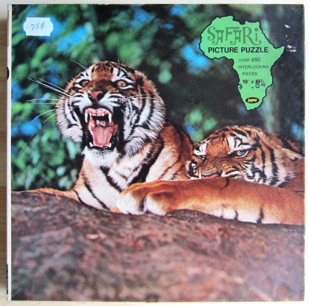 Two tigers resting in a forest setting, one roaring with its mouth wide open.