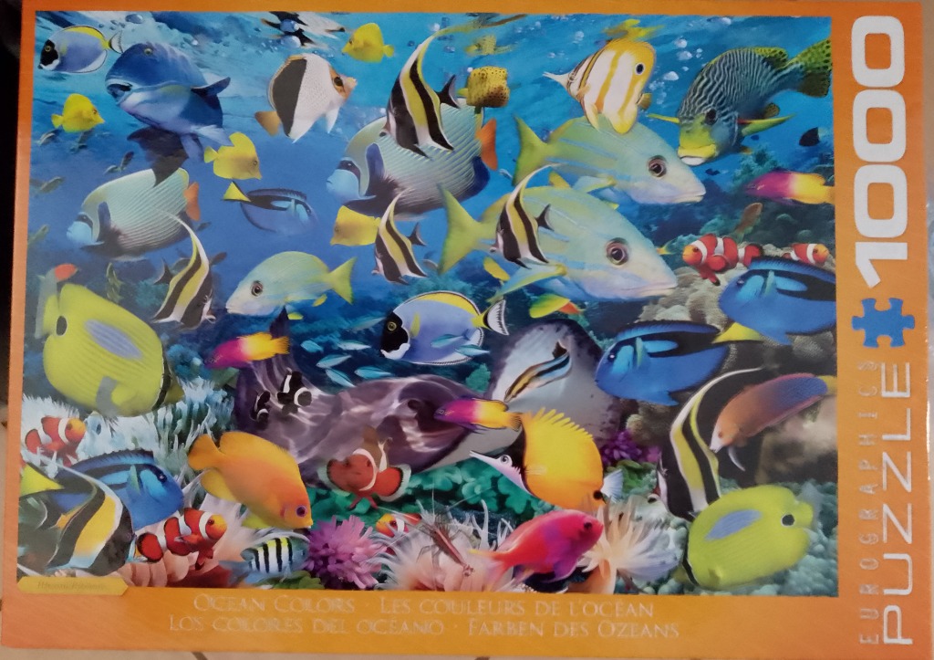 A vibrant underwater scene teeming with a wide variety of colorful tropical fish against a blue ocean background.