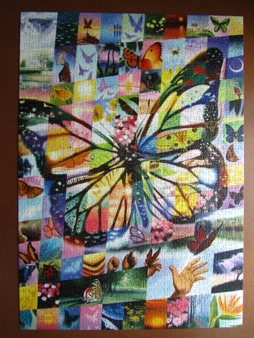 A montage of landscape and nature scenes arranged in a grid that forms a large butterfly shape.