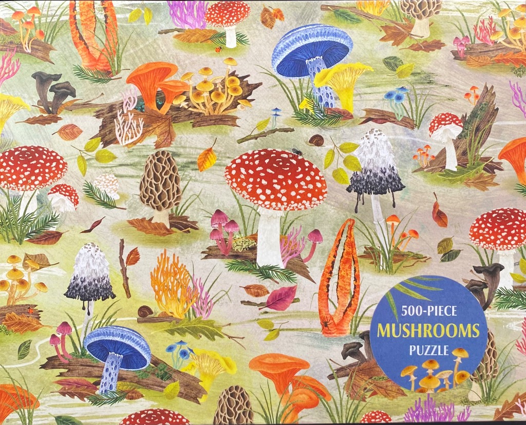 A whimsical illustration of various mushroom species scattered across a pale, leafy forest floor background.