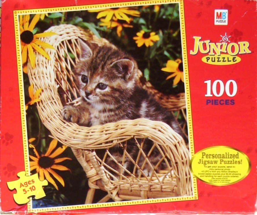 A small, brown tabby kitten sitting in a miniature wicker chair surrounded by yellow black-eyed Susan flowers.
