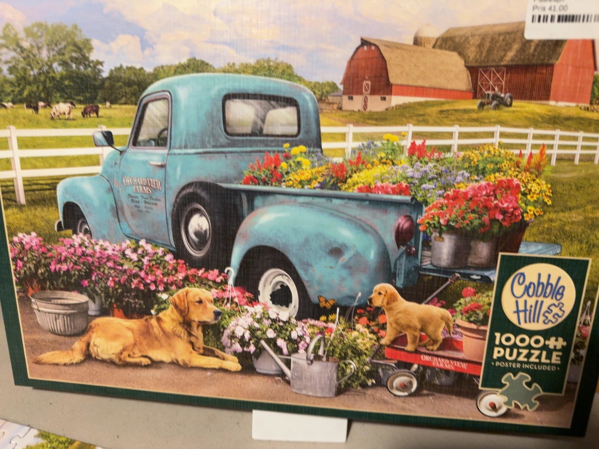 A vintage turquoise pickup truck overflowing with colorful flowers sits in a farm scene with two golden retriever dogs.