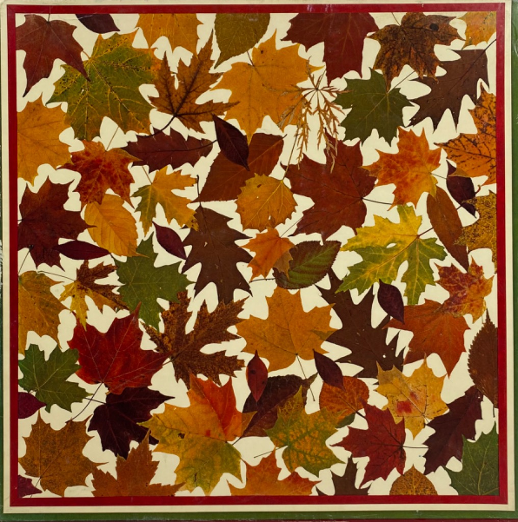 An assortment of various autumn leaves scattered against a cream-coloured background.