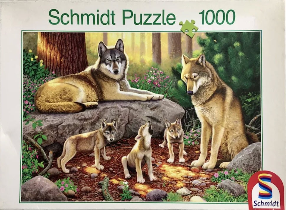 A detailed illustration of a wolf family with two adults and three pups in a forest setting.
