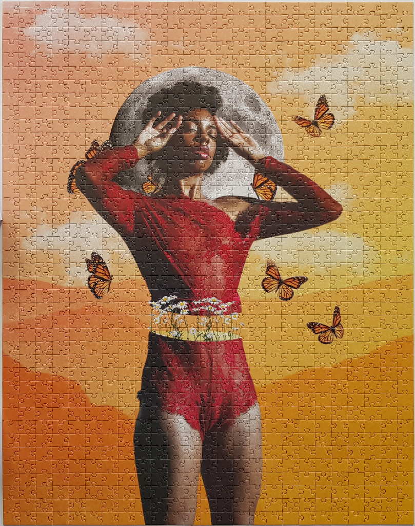 Surreal collage of a woman in red lace with a moon halo, monarch butterflies, and daisies against an orange sunset.