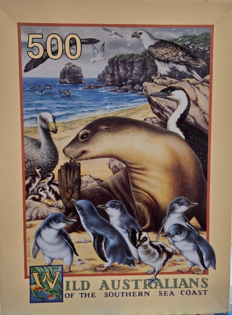 Illustration of a coastal scene featuring a sea lion, little penguins, a cormorant, and a sea eagle.
