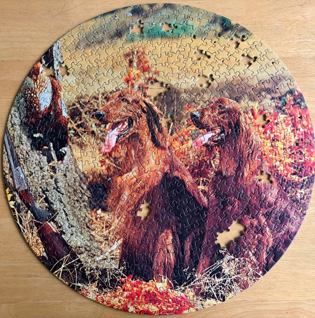 A circular image featuring two Irish Setter dogs in an autumnal outdoor setting.