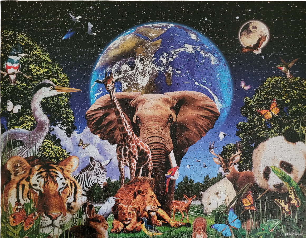 Collage of various wildlife animals set against a backdrop of a large globe and starry night sky