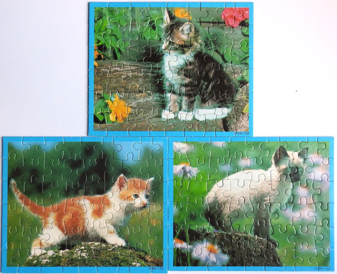Three separate images of kittens in garden settings, including a tabby, a ginger kitten, and a Siamese kitten.