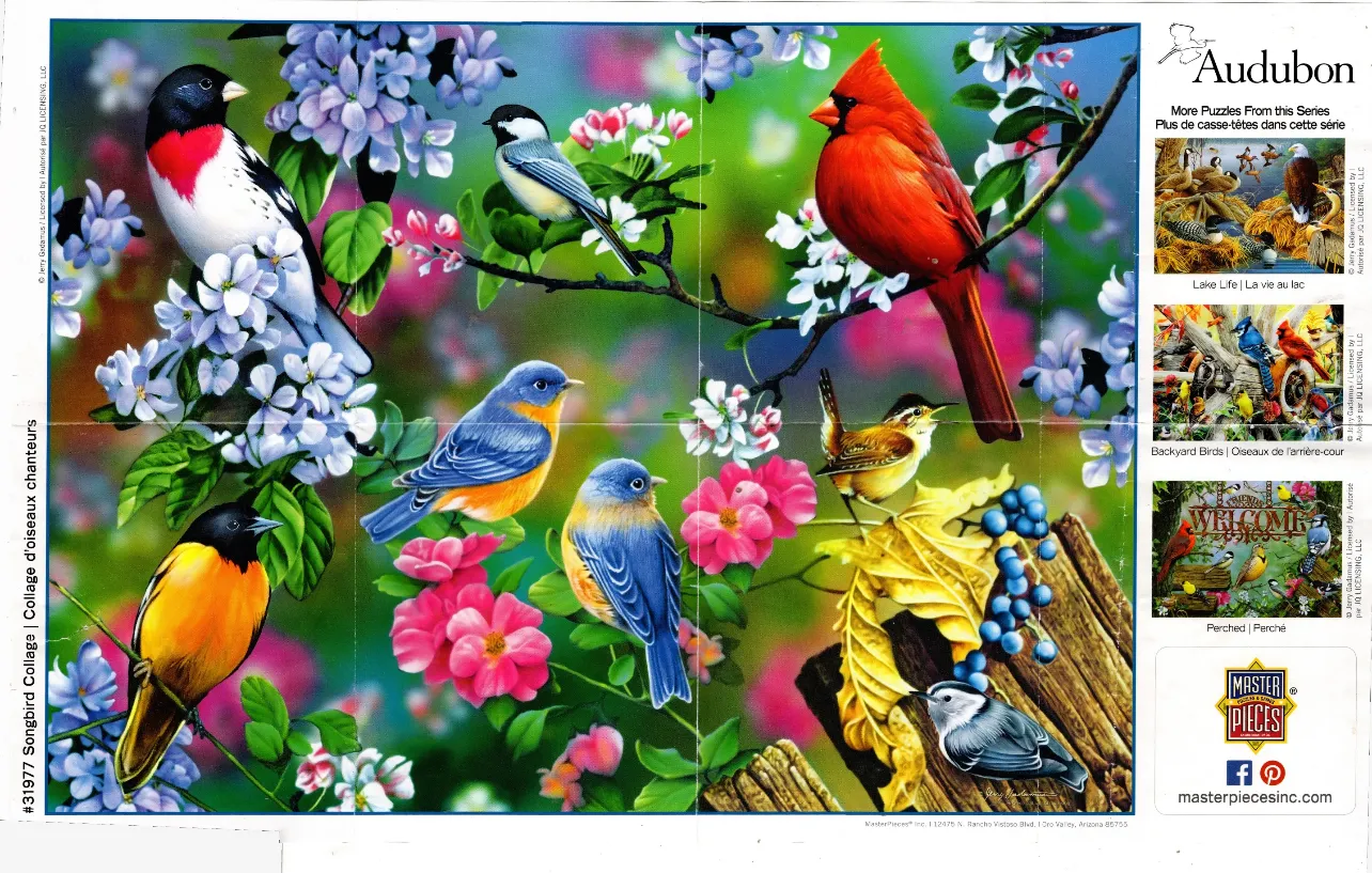 A collage of various songbirds perched among colorful spring blossoms and flowers.