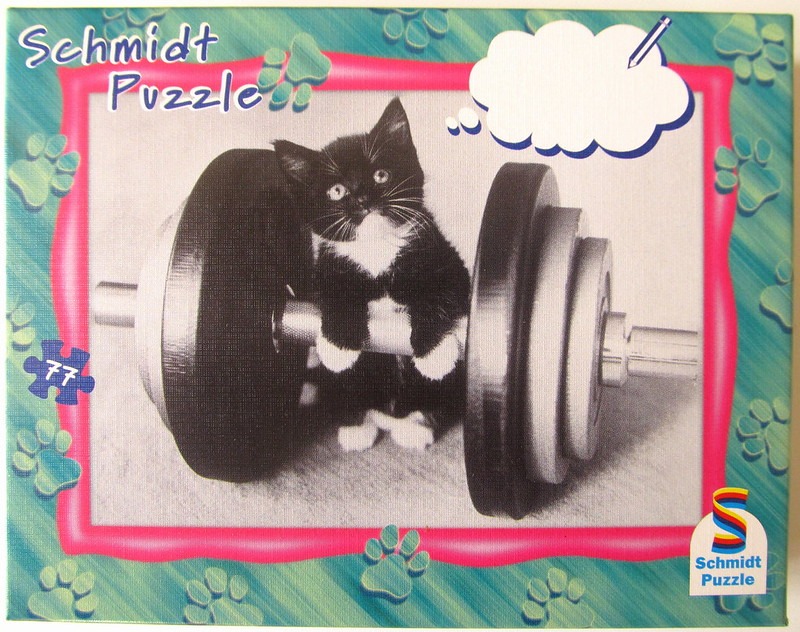 A black and white tuxedo kitten standing behind a large weightlifting barbell.