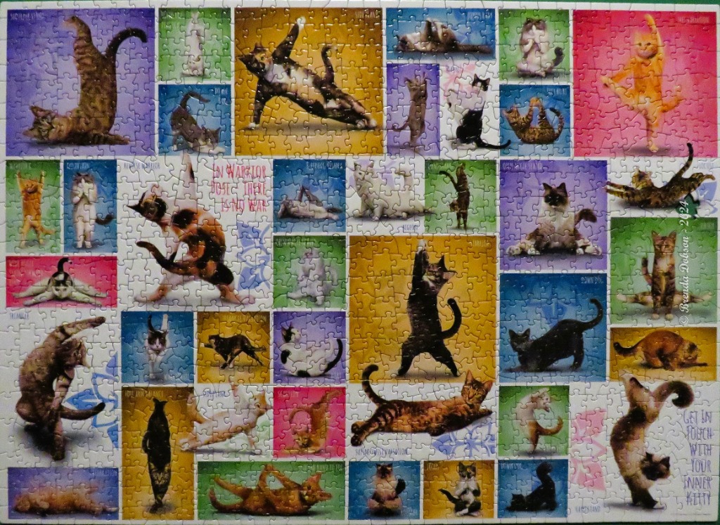 A collage of cats performing various yoga poses on colourful backgrounds.