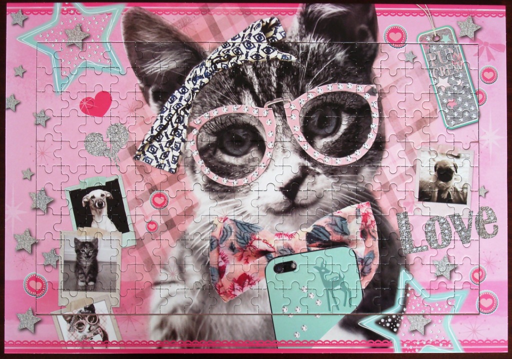 Close-up of a whimsical cat portrait wearing glasses and a bow tie against a pink background with photo accents.