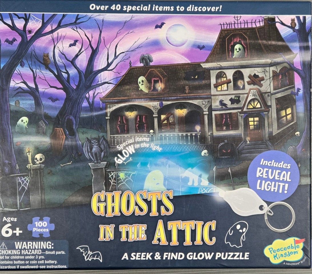 Illustration of a spooky haunted house at night with ghosts, bats, and a flashlight beam revealing hidden items.