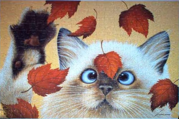 A close-up illustration of a Siamese-style kitten with bright blue eyes surrounded by falling autumn leaves.