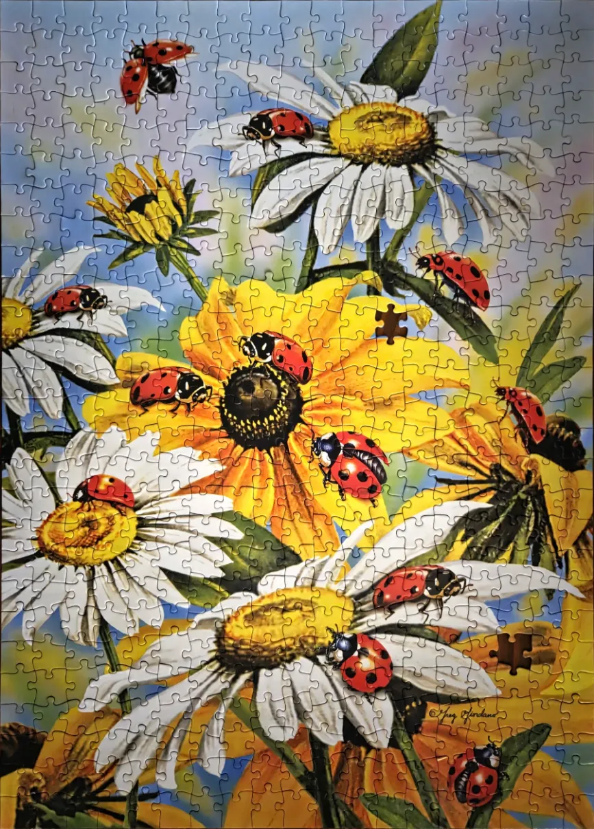 Vibrant illustration of several ladybugs resting on white daisies and yellow coneflowers against a soft blue sky.