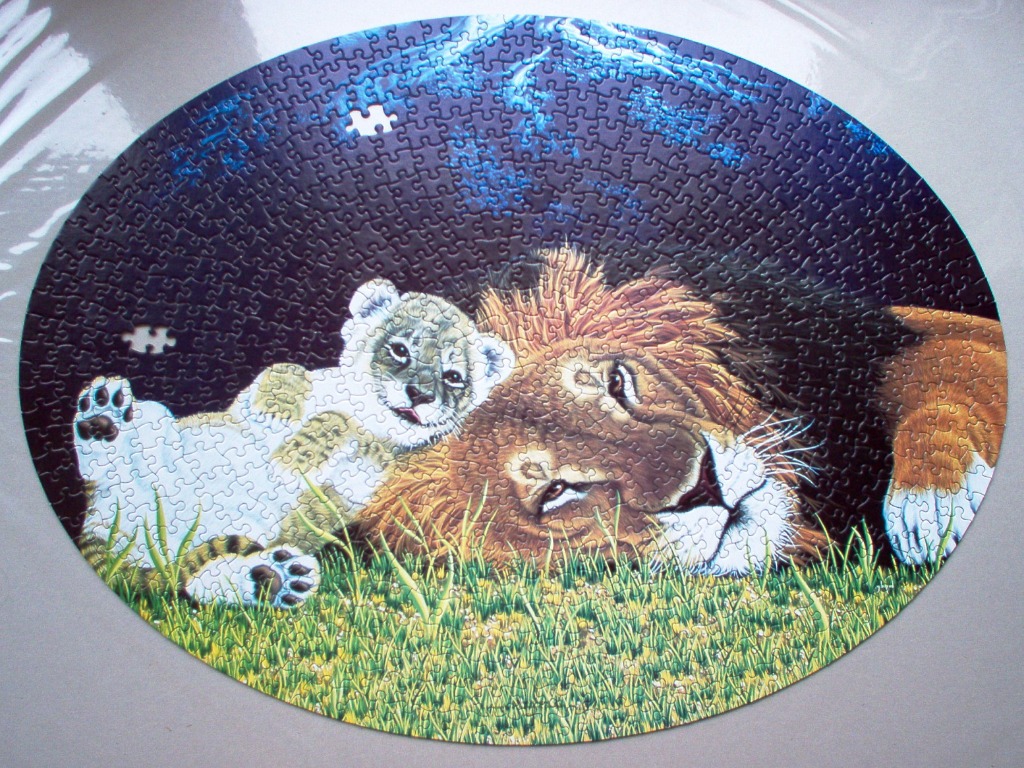 A male lion and a white lion cub resting together in grass under a starry night sky.