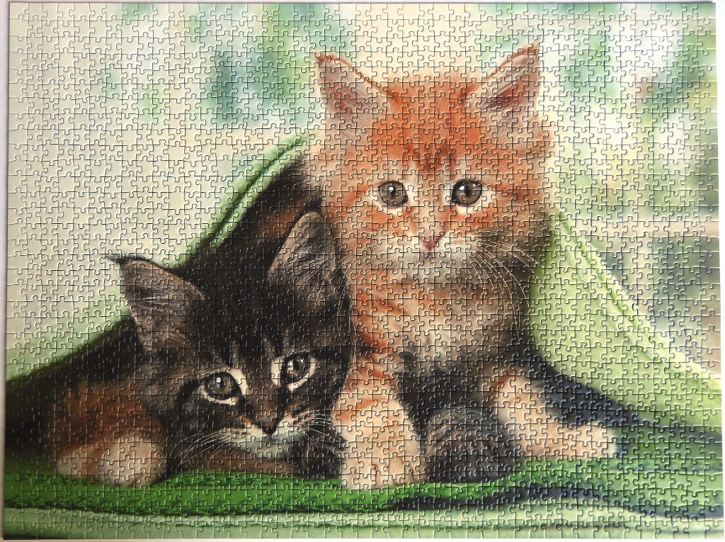 Two kittens, one ginger and one dark tabby, peeking out from under a bright green blanket.