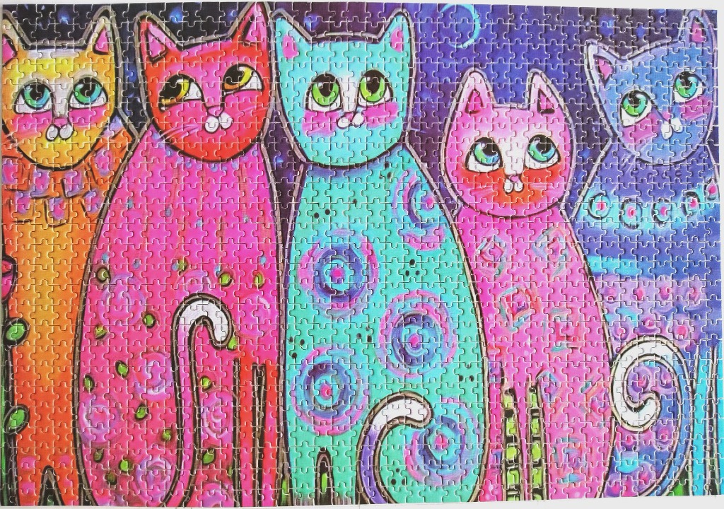 Five whimsical, brightly colored cats standing in a row against a starry night background.
