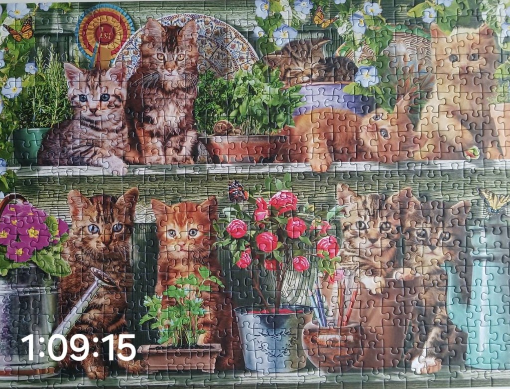 A whimsical illustration of several kittens perched among potted plants and garden accessories on wooden shelves.
