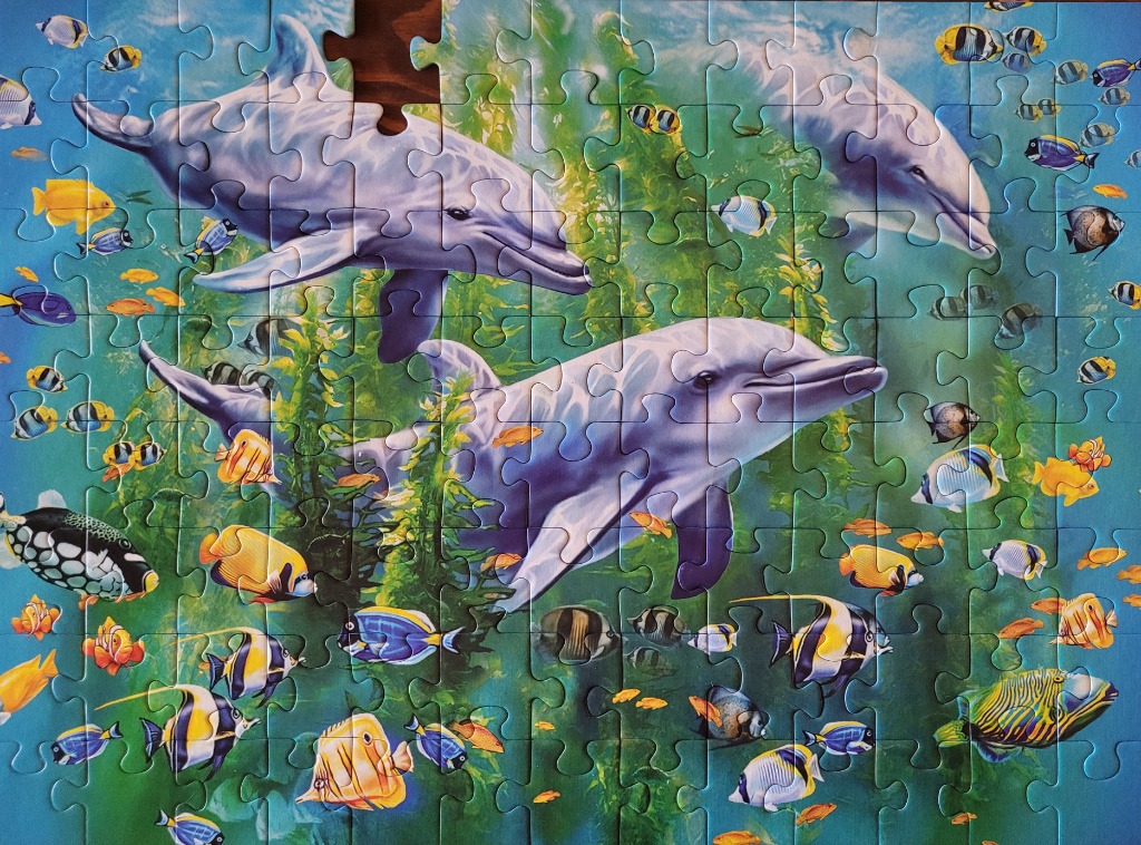 Three dolphins swimming amongst vibrant tropical fish and green seaweed in an underwater ocean scene.