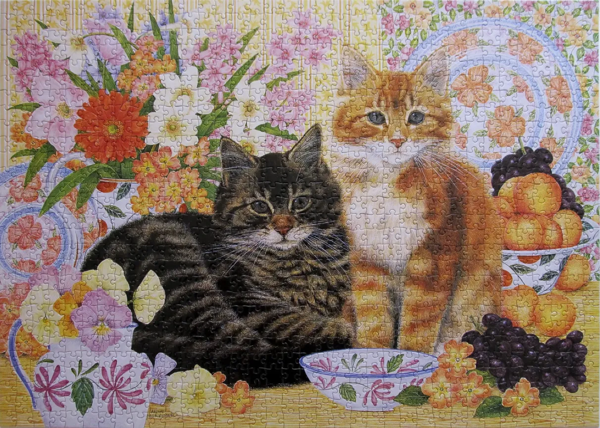 A black tabby cat lying down next to an orange tabby cat, surrounded by flowers, fruit, and decorative bowls.