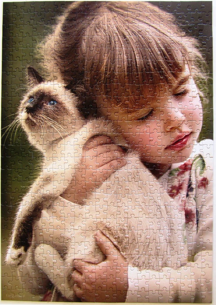 A close-up photograph of a young girl gently hugging a Siamese cat with bright blue eyes.
