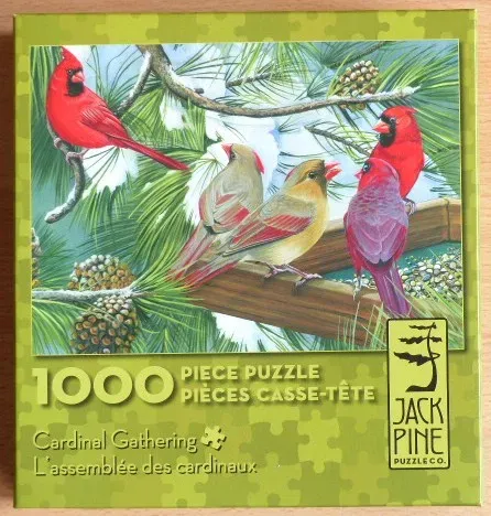 Illustration of four cardinals perched on a pine branch near a bird feeder with pinecones.