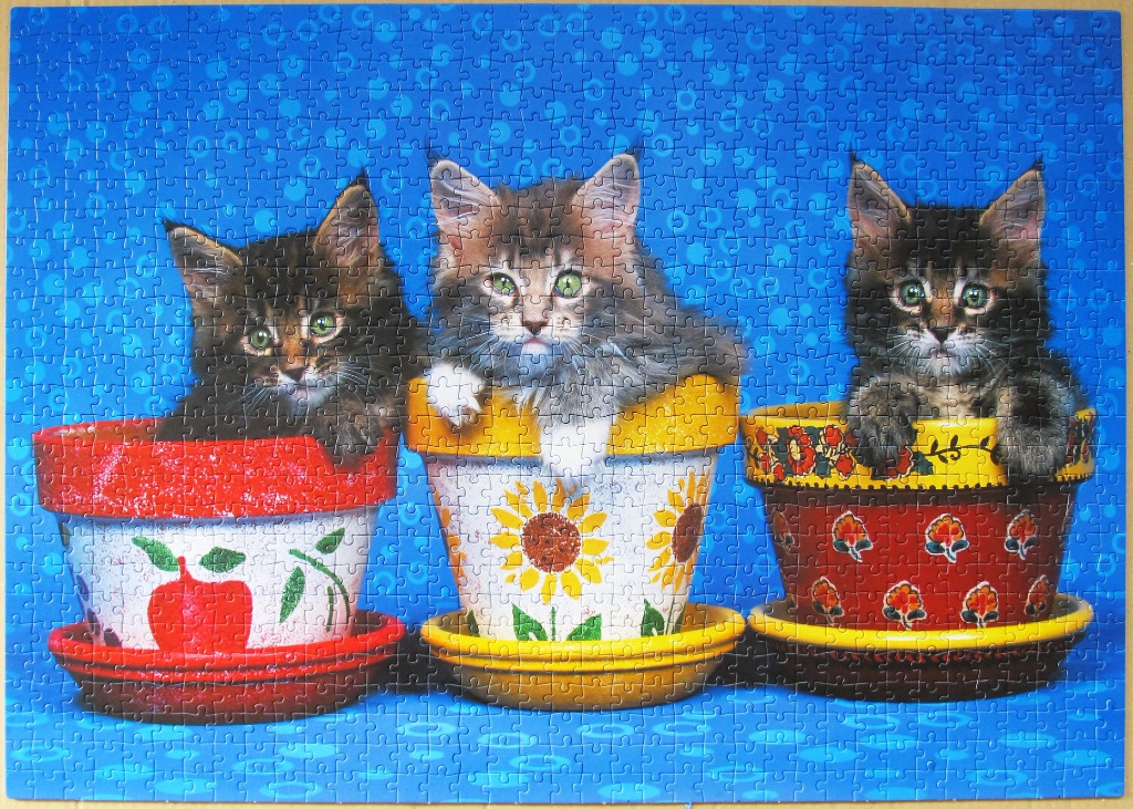 Three kittens sitting in individual painted flower pots against a blue background.