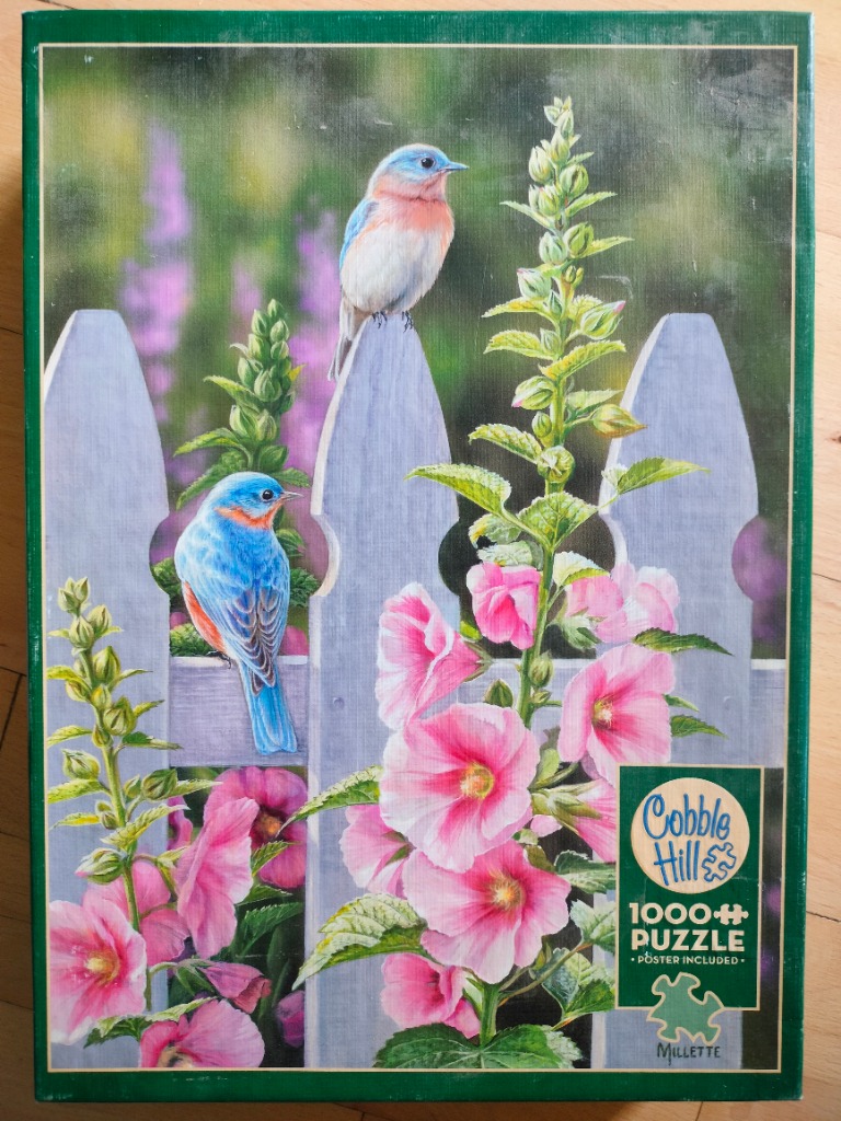 Two bluebirds perched on a grey picket fence amidst tall pink hollyhock flowers.