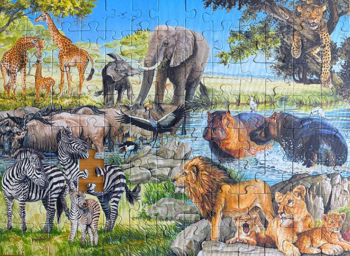 A detailed illustration of diverse African wildlife gathered at a watering hole.