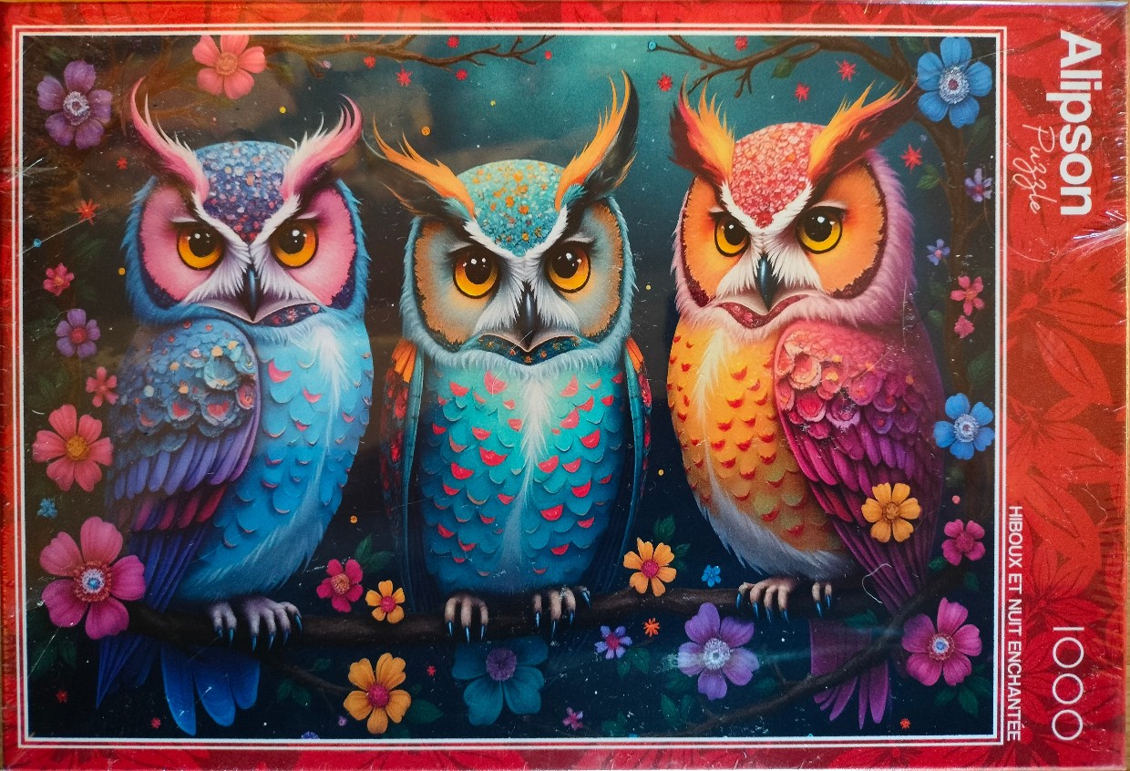 An illustration of three colorful owls perched on a branch surrounded by flowers against a dark, magical background.