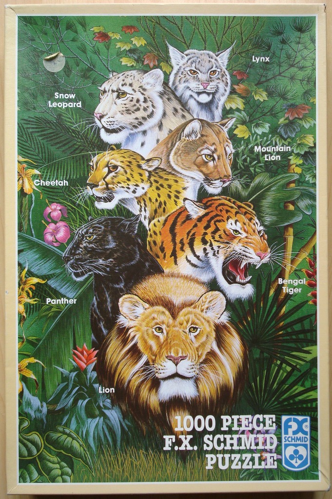 Illustration of seven wild cats including a lion, tiger, and leopard, set against a lush green forest background.