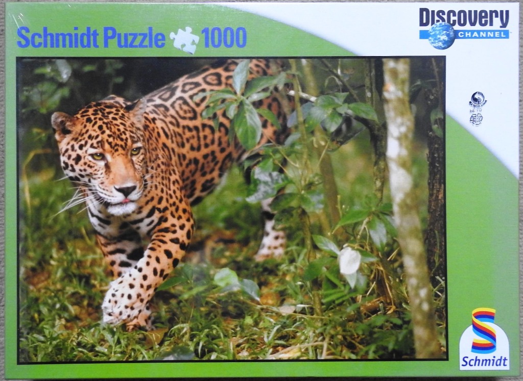 A jaguar walking through a lush green rainforest.