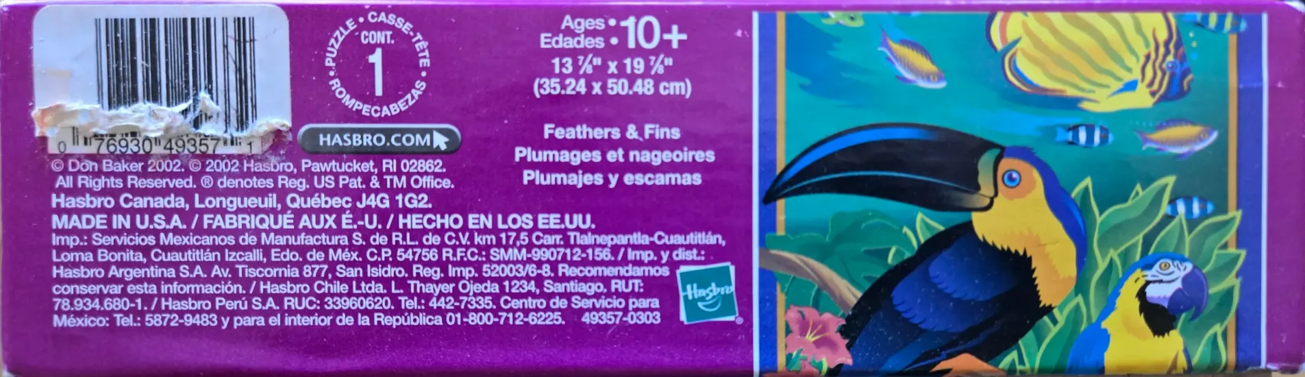 Feathers & Fins