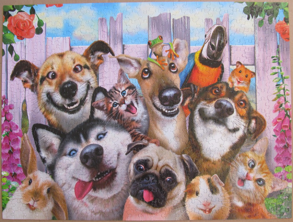 A cartoon-style group portrait of many different pets smiling at the camera in front of a wooden fence.