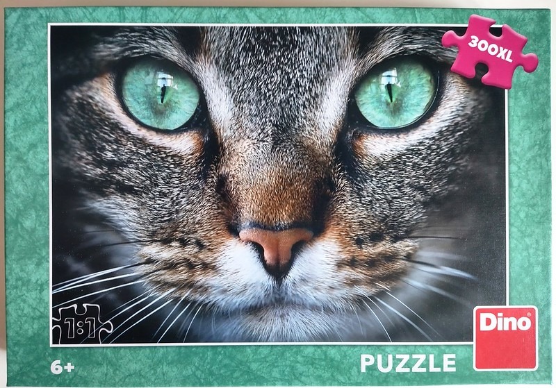 Close-up photographic portrait of a cat with piercing green eyes and striped tabby fur.