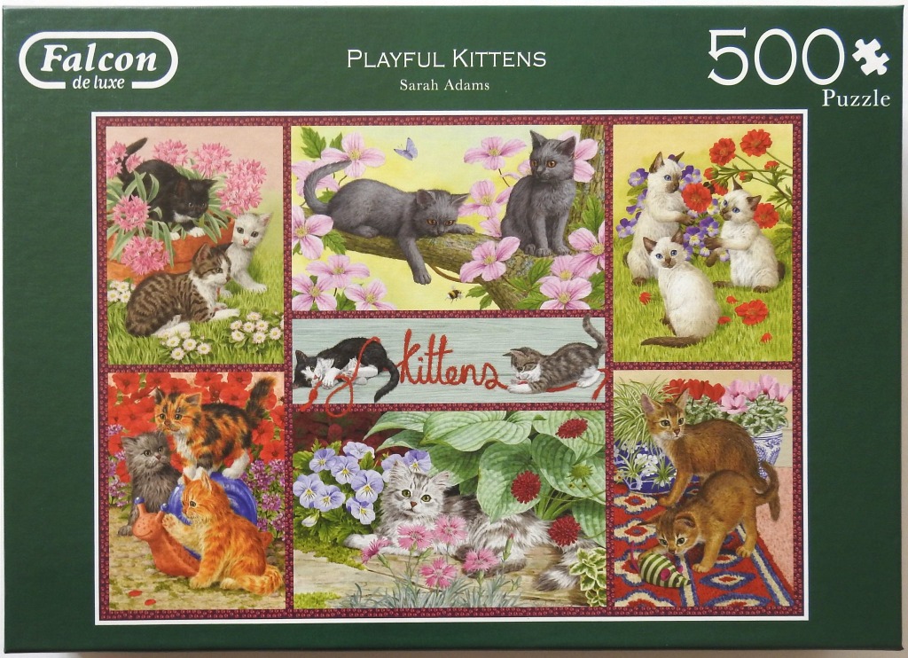 A collage of six illustrated panels showing various kittens in garden and indoor settings.