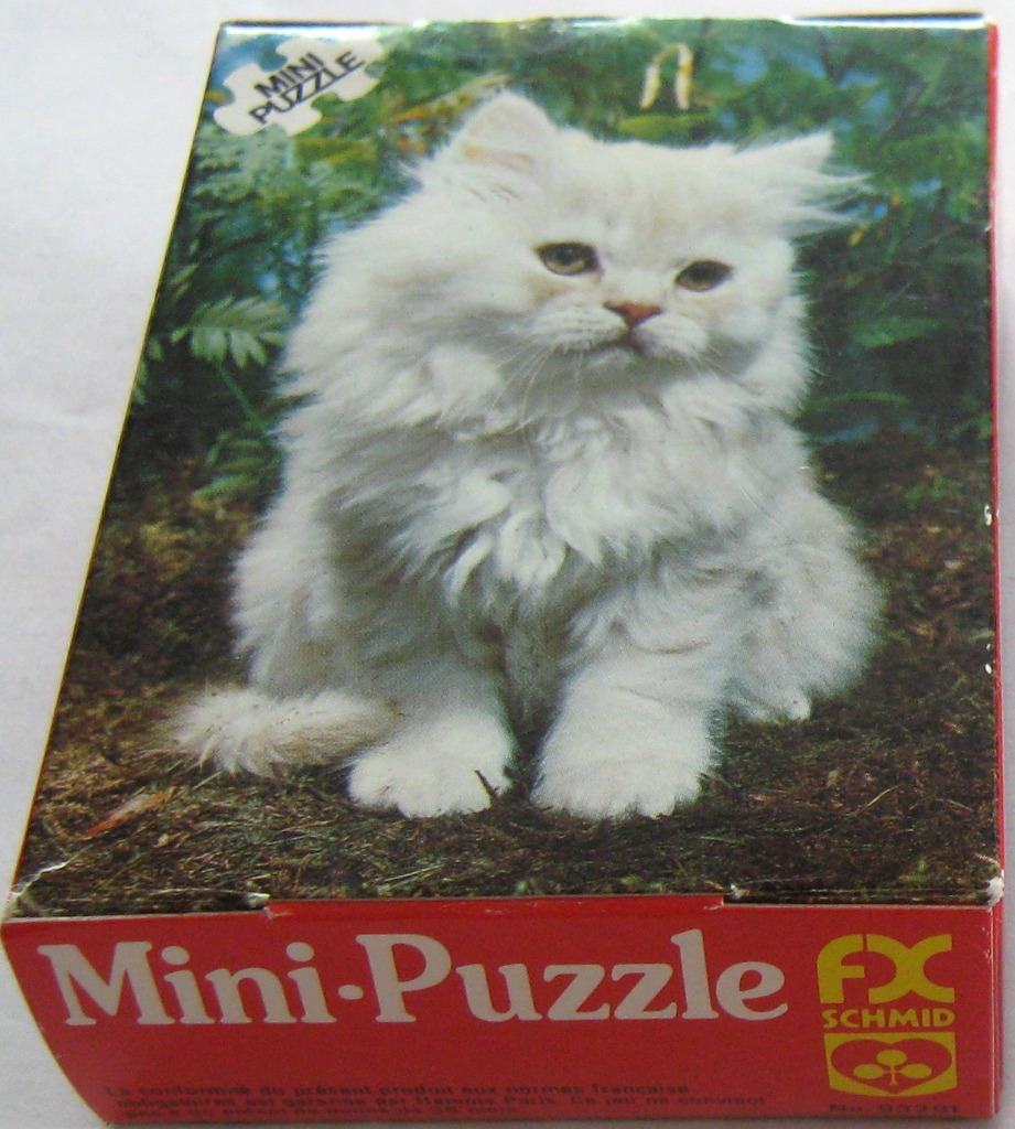 A fluffy white Persian kitten sitting on a patch of dark earth surrounded by green foliage.