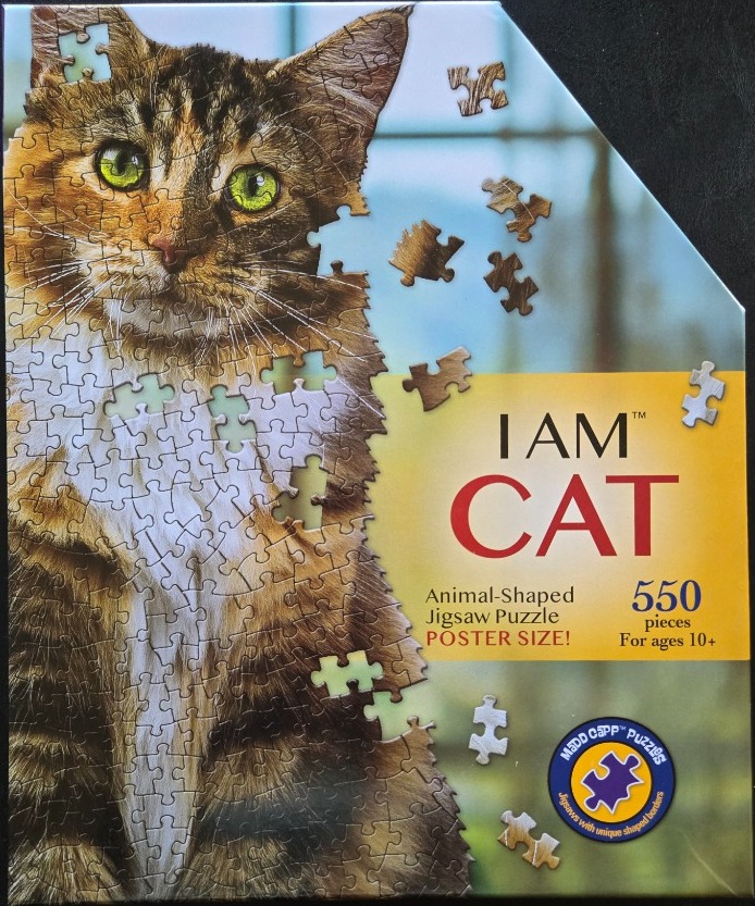 Close-up portrait of a tabby cat against a blurred outdoor background.