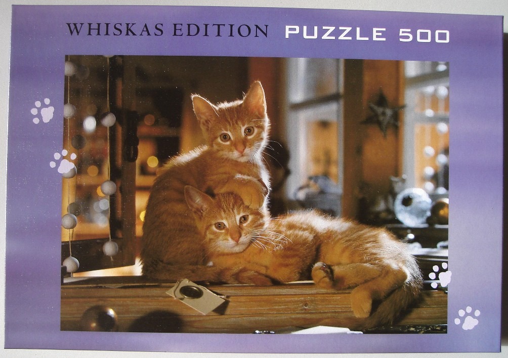 Two ginger tabby kittens resting together on a wooden windowsill.
