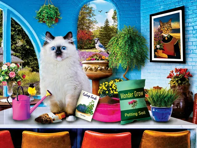 A fluffy Ragdoll cat sits on a table surrounded by gardening supplies in a brightly colored room with arched windows.