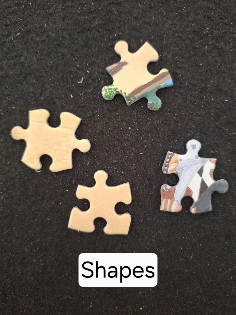 Four scattered shapes, two with subtle landscape imagery, two blank.