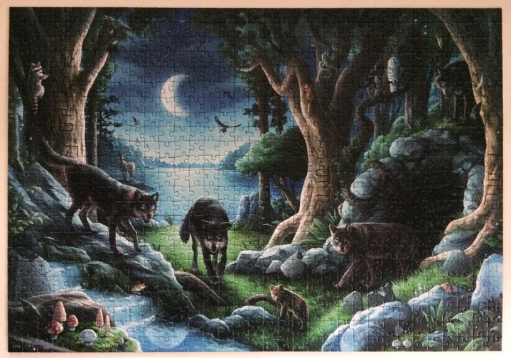 Night forest scene with wolves, deer, raccoon, owl, and moon.